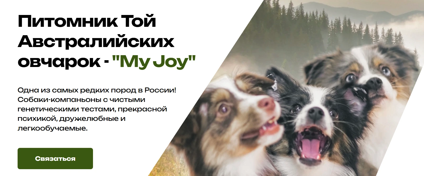 My Joy - Главная страница